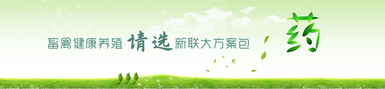 走進新聯(lián)大