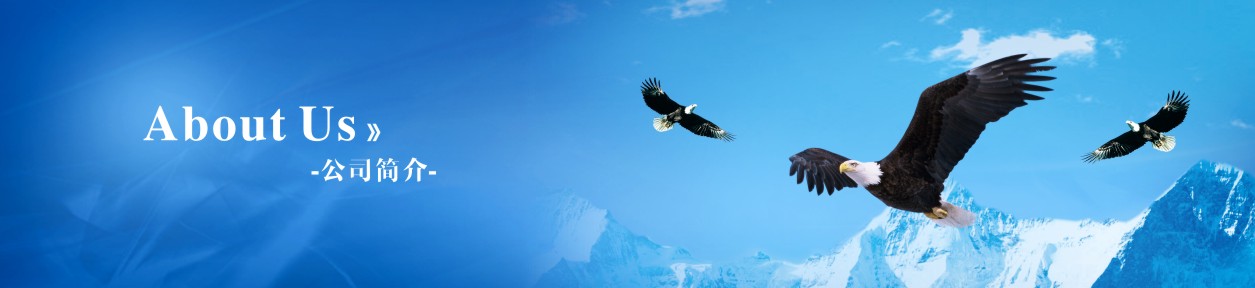 公司簡介